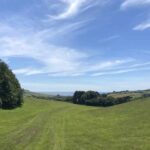 Colmers hill seaton 014