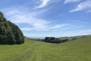 Colmers hill seaton 014