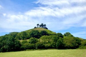 Colmers hill from symondsbury car park