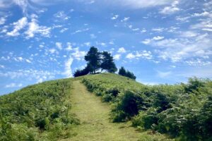 Climbing colmers hill