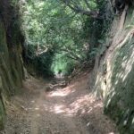 Colmers hill seaton 006