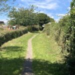 Colmers hill seaton 013