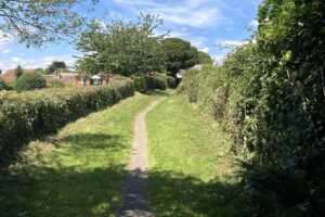 Colmers hill seaton 013