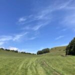 Colmers hill seaton 015