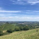 Colmers hill seaton 016