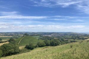 Colmers hill seaton 016