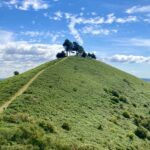 Colmers hill seaton 005