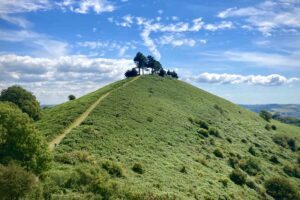 Colmers hill seaton 005