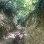 Colmers hill seaton 007