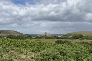 Corfe castle to kingston loop