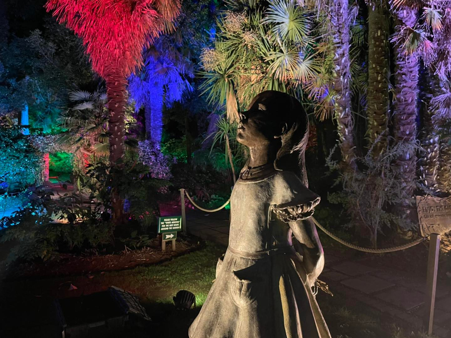 Illuminate at abbotsbury subtropical gardens gallery1