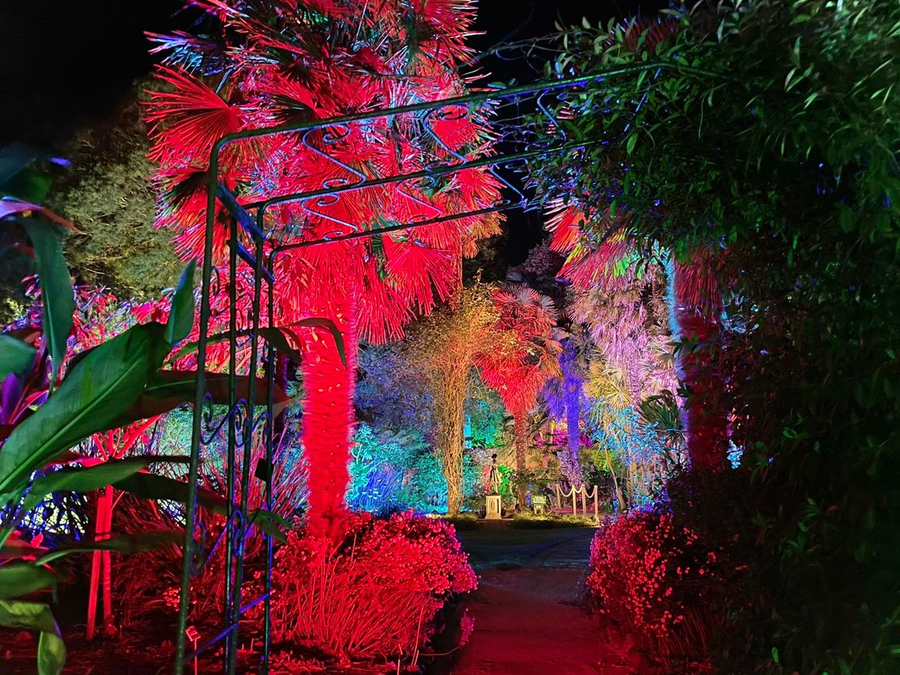 Illuminate at abbotsbury subtropical gardens gallery3