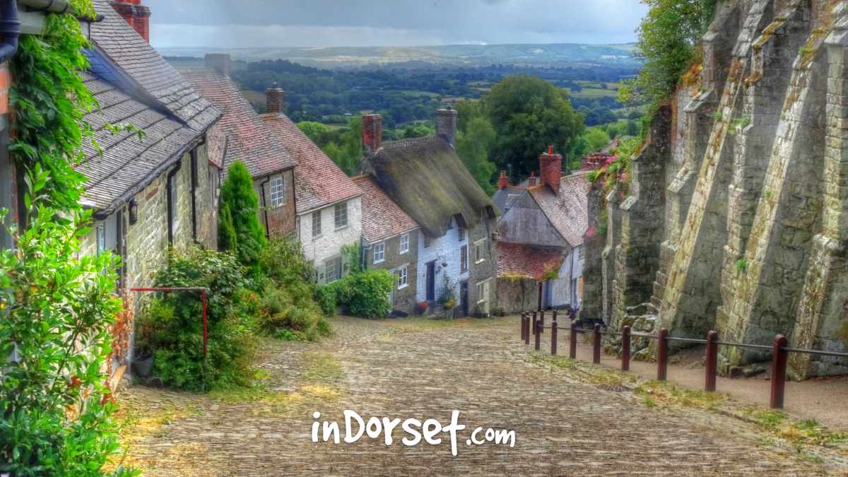 Events, accommodation and things to do in dorset
