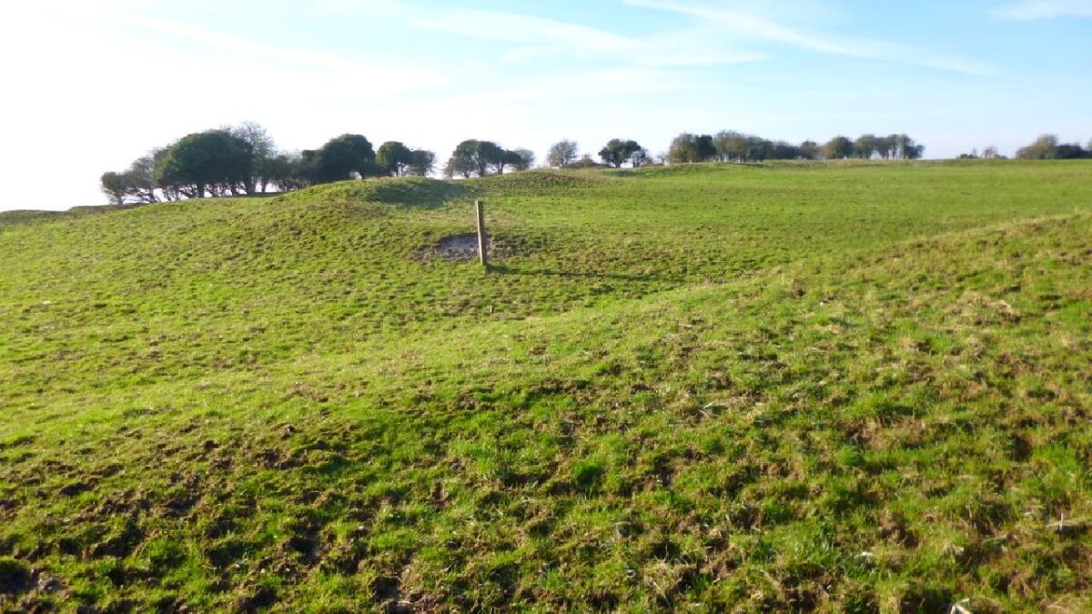 Buzbury Rings