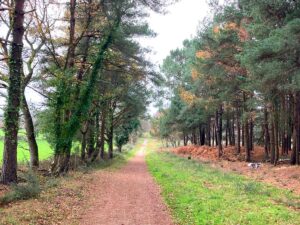 Sandford heath walk