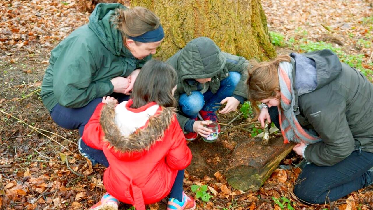 Animal Poo Trail