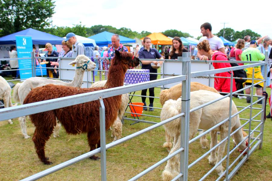 The West Moors Big Event 2024 04
