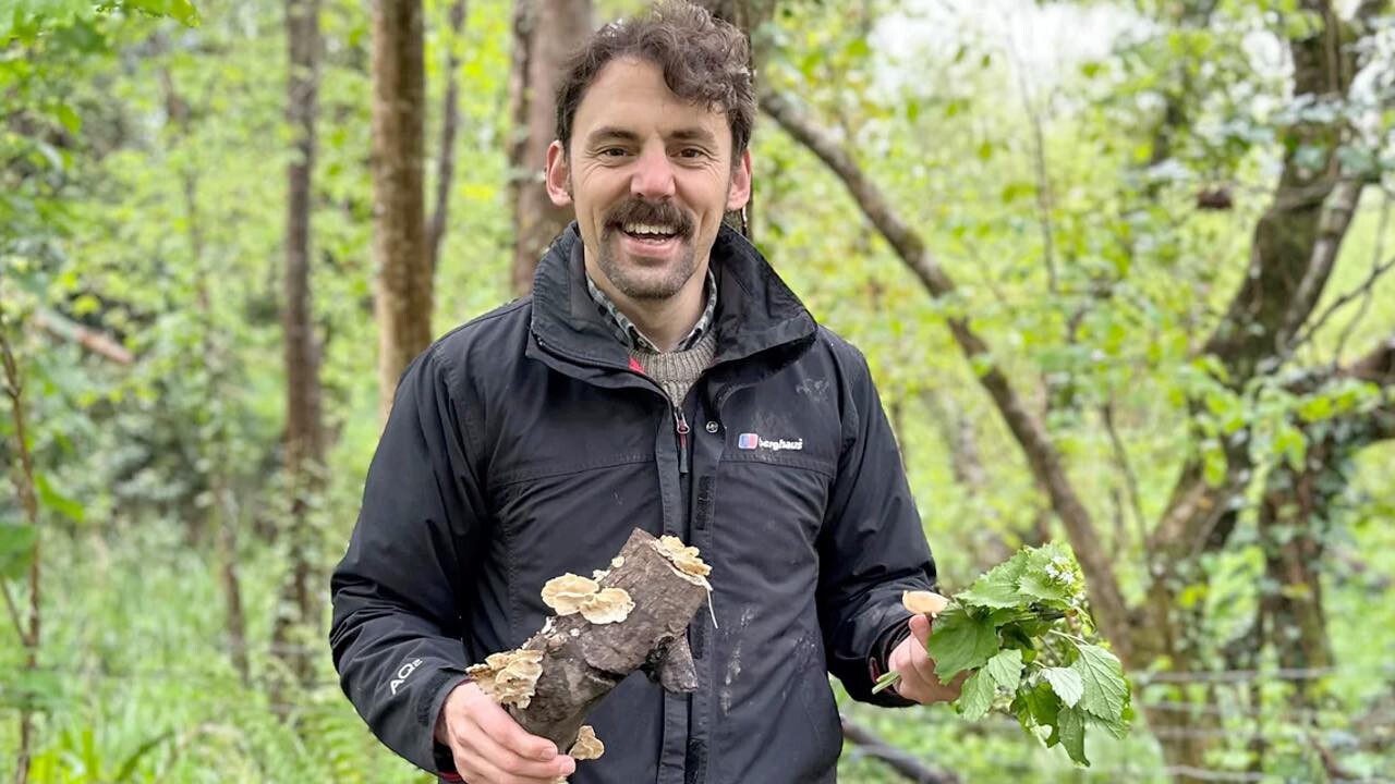 Wild Food Foraging Walk with Nick Phillips