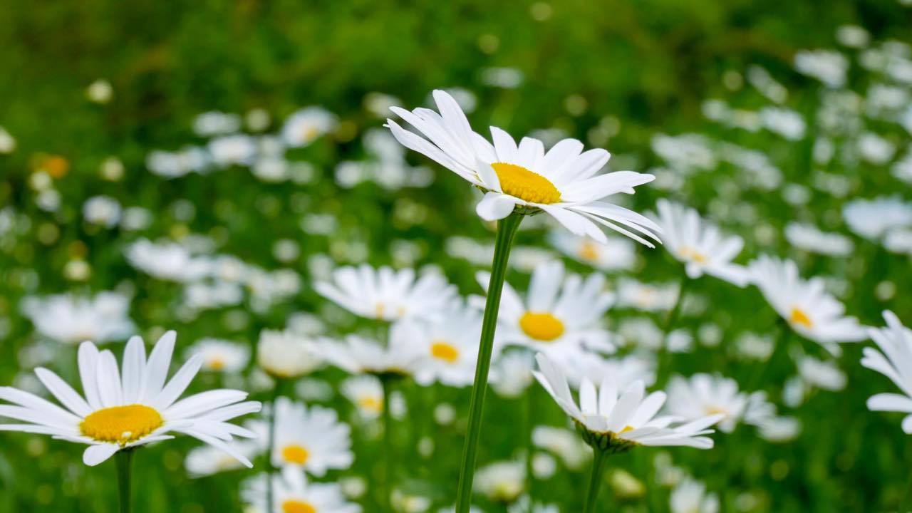 Sunday Morning Breathing Space