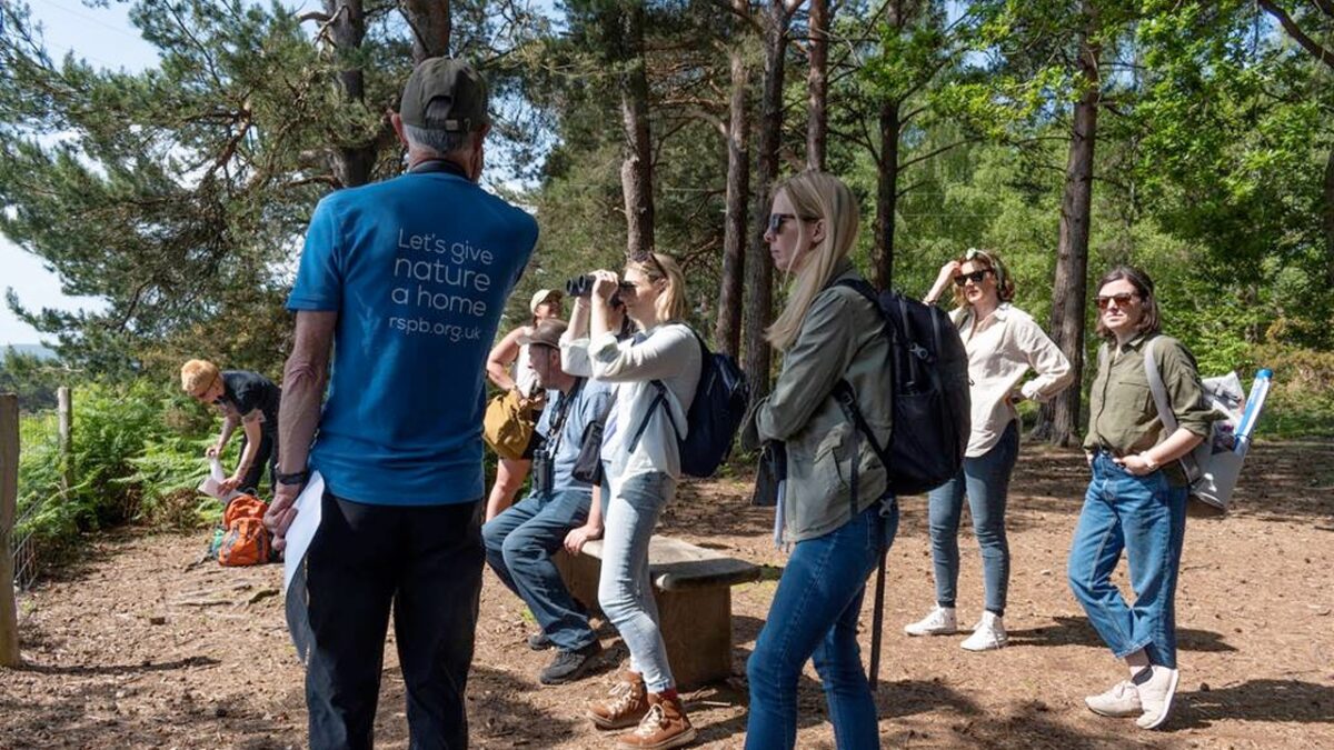 Kay Frances Hyde Rspb Images.com1