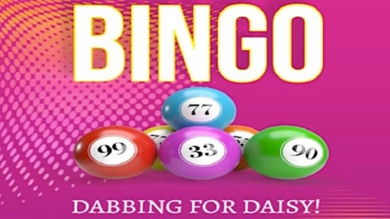 Dabbing For Daisy Charity Bingo