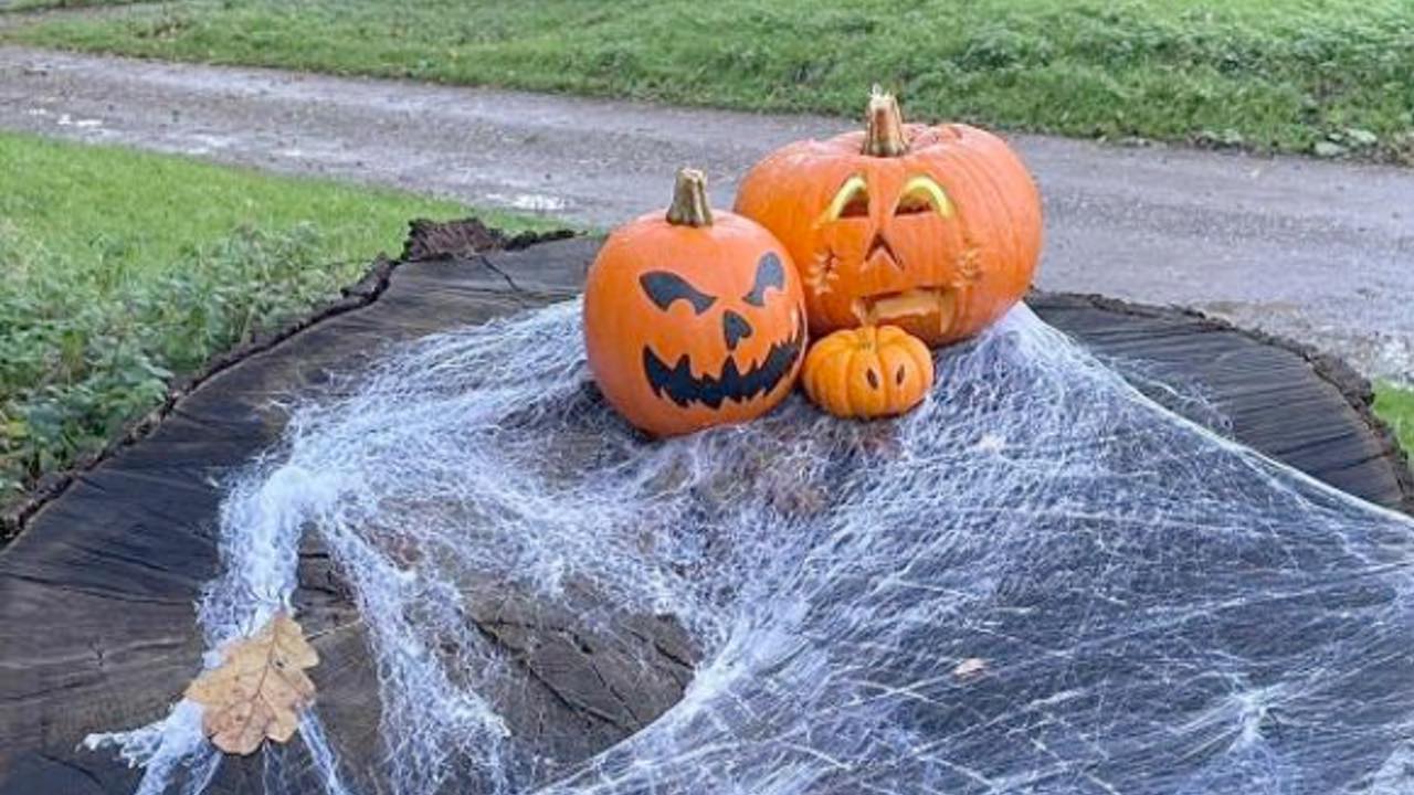 Halloween Spooktacular Open Day At Millie College