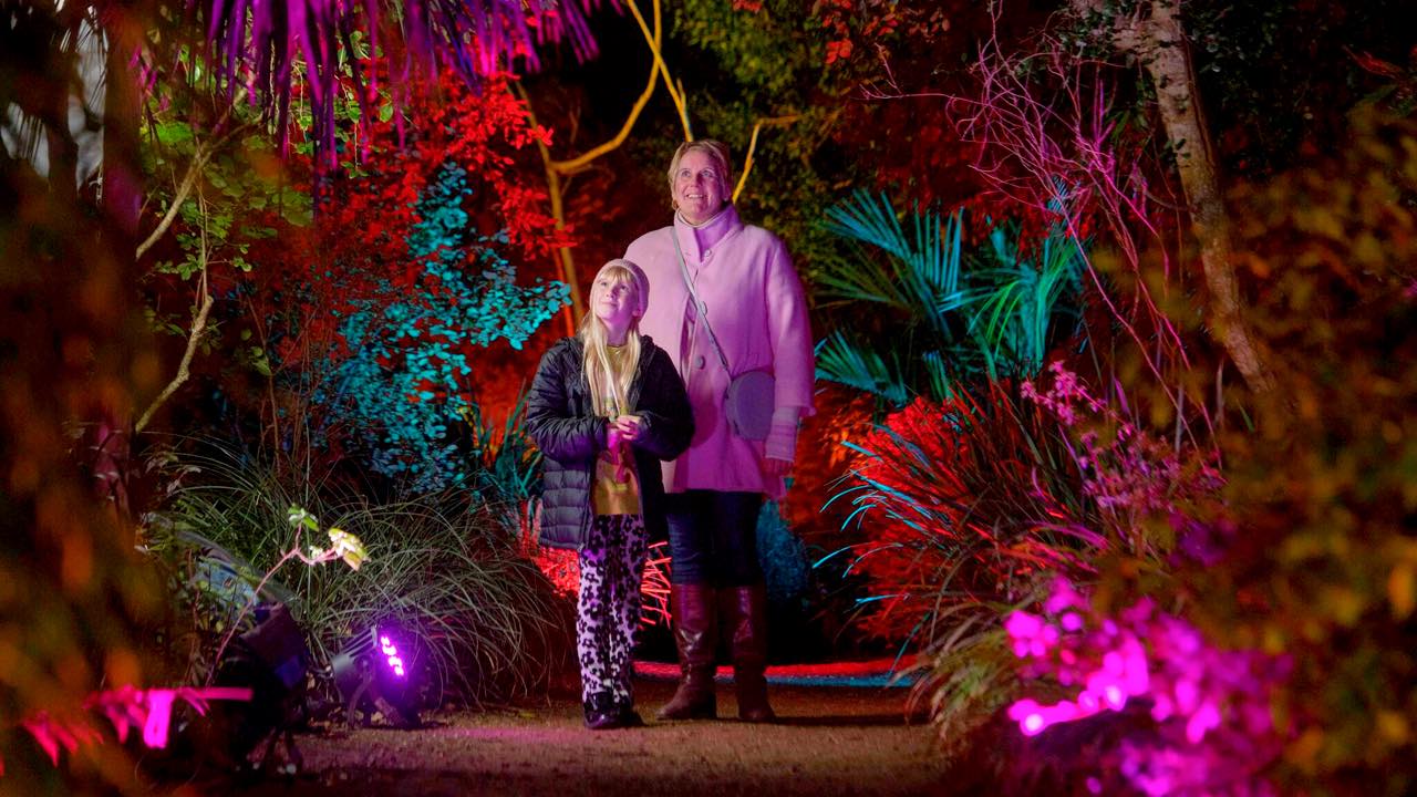 Abbotsbury Illuminate 2024