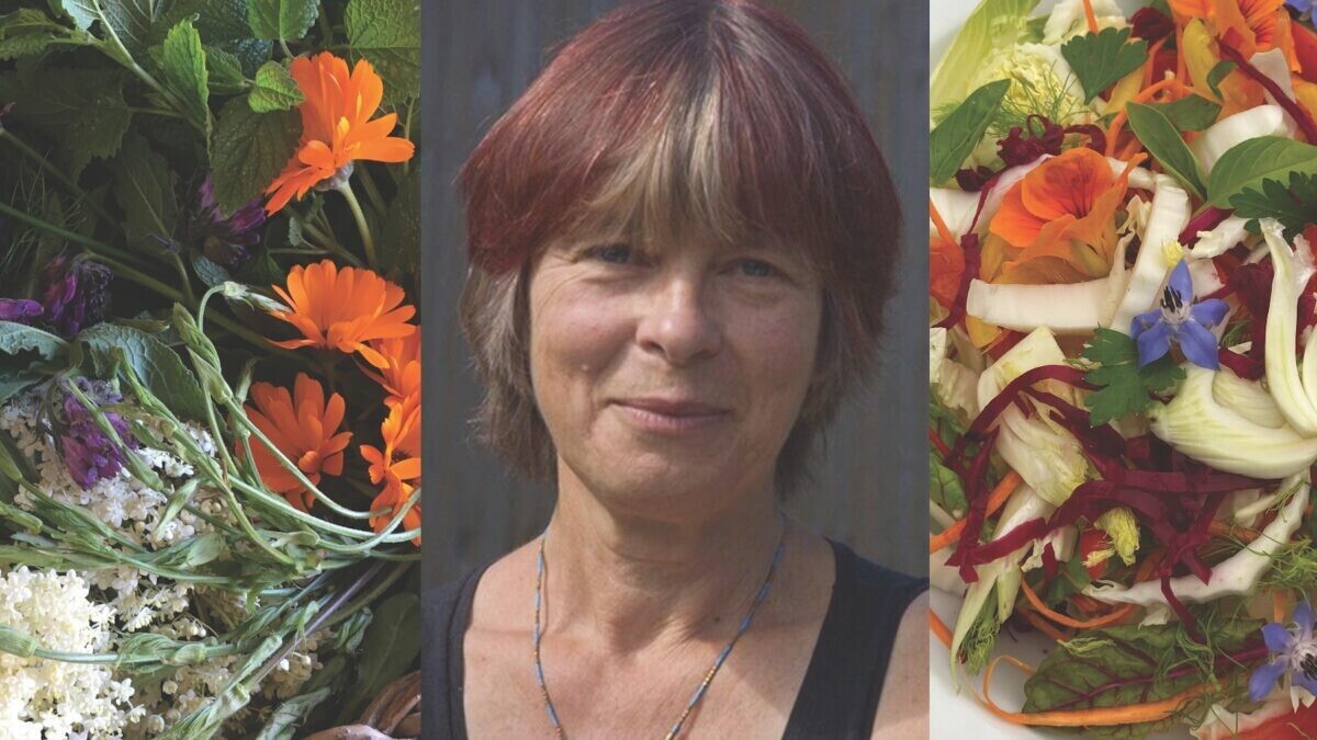 Living Foods Workshop & Lunch with Daphne Lambert