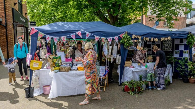 Ringwood eco fair 2025 fi