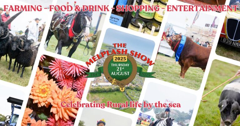 Melplash agricultural show 2025