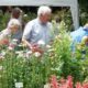 Abbotsbury Plant Fair