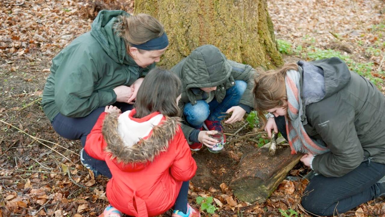 Poo-tastic activity trail on Brownsea island