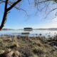 RSPB Arne - Wellbeing Guided Walk