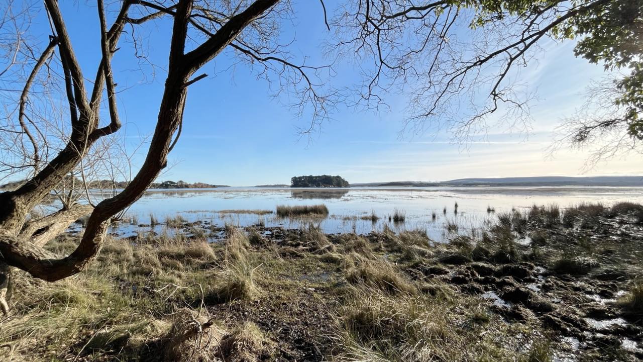 RSPB Arne - Wellbeing Guided Walk