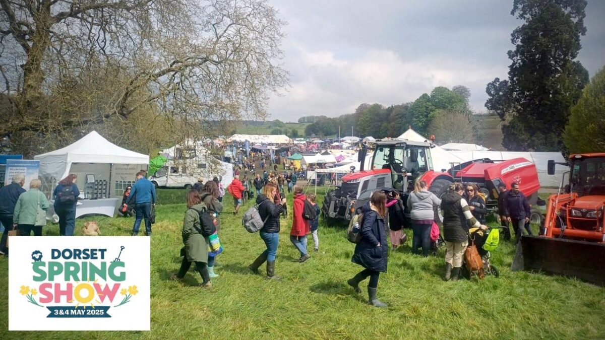 Dorset spring show fi2