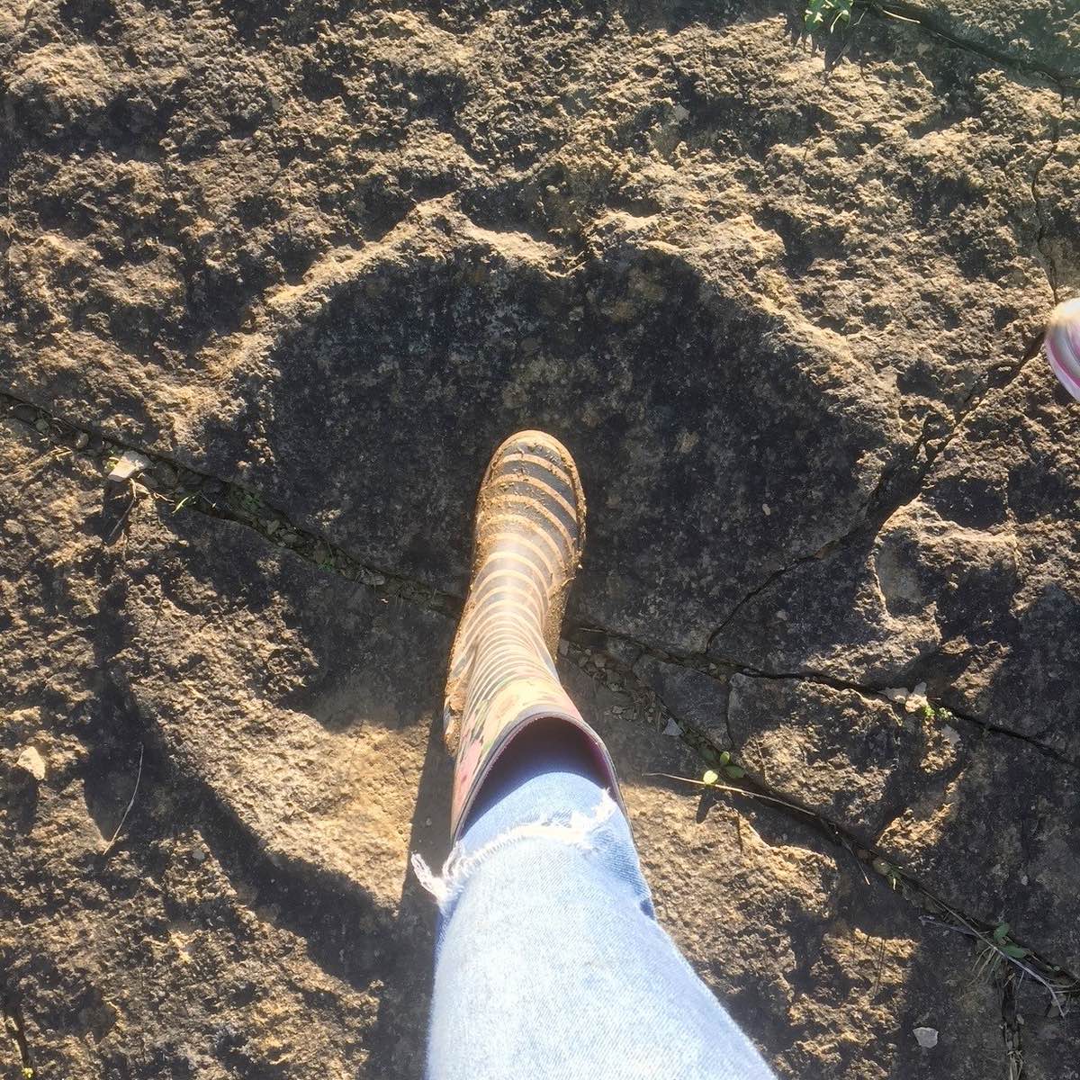 Dinosaur Footprints Walk