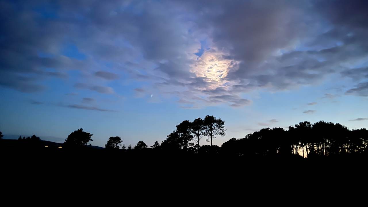 Night Wildlife Guided Walk with supper at RSPB Arne