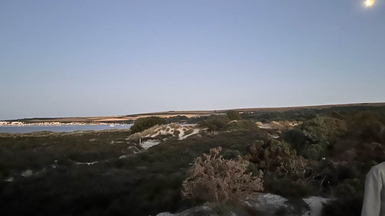 Nightjar Walk at Studland