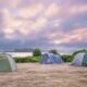 Big Wild Sleep Out - Adult Event
