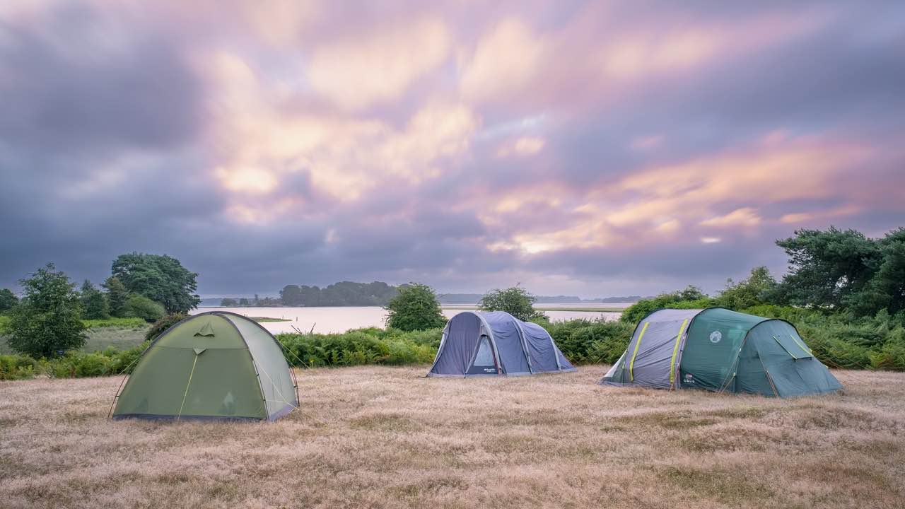 Big Wild Sleep Out - Adult Event