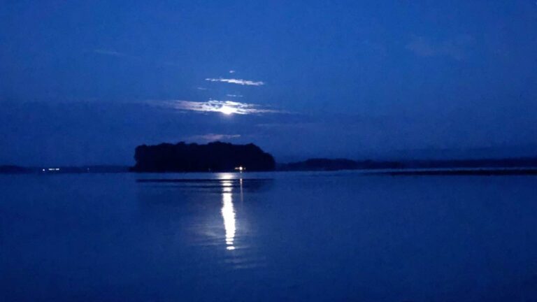 Full moon guided walk