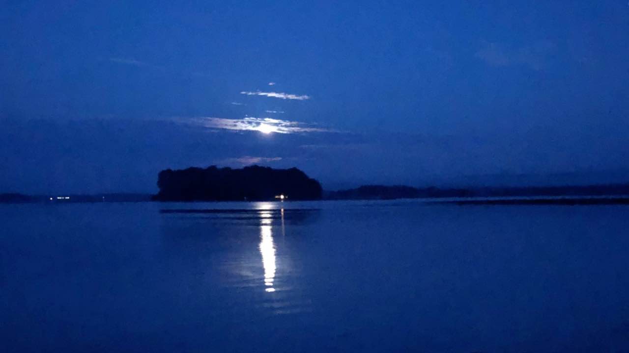 Full Moon Guided Walk - Women only - August - Sturgeon Moon