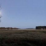 Full Moon guided walk - Women only - October Hunter's Moon