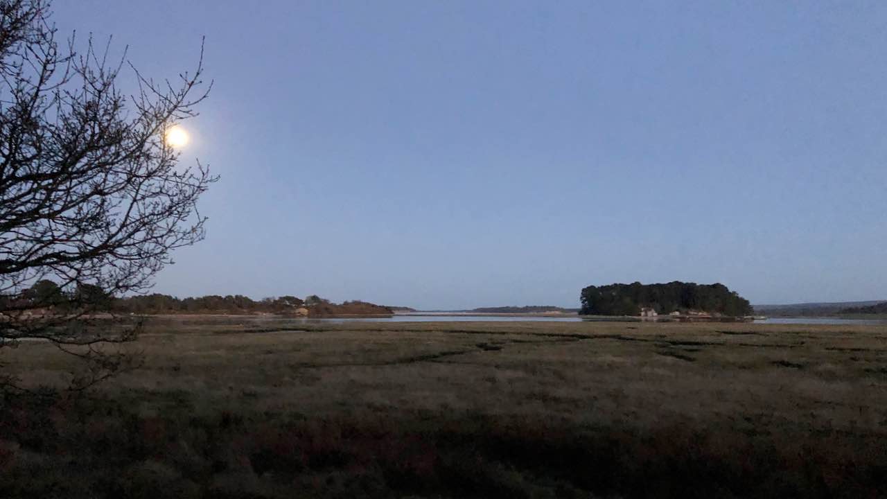 Full Moon guided walk - Women only - October Hunter's Moon