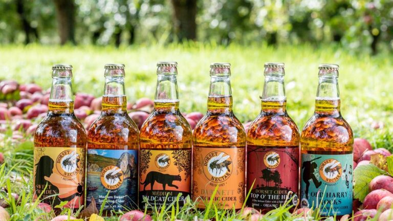 May day at dorset nectar cider orchard