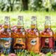 May Day at Dorset Nectar Cider Orchard