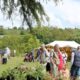 Minterne Spring Fair 2025