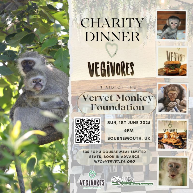 Charity dinner at Vegivores, Bournemouth in aid of the Vervet Monkey Foundation