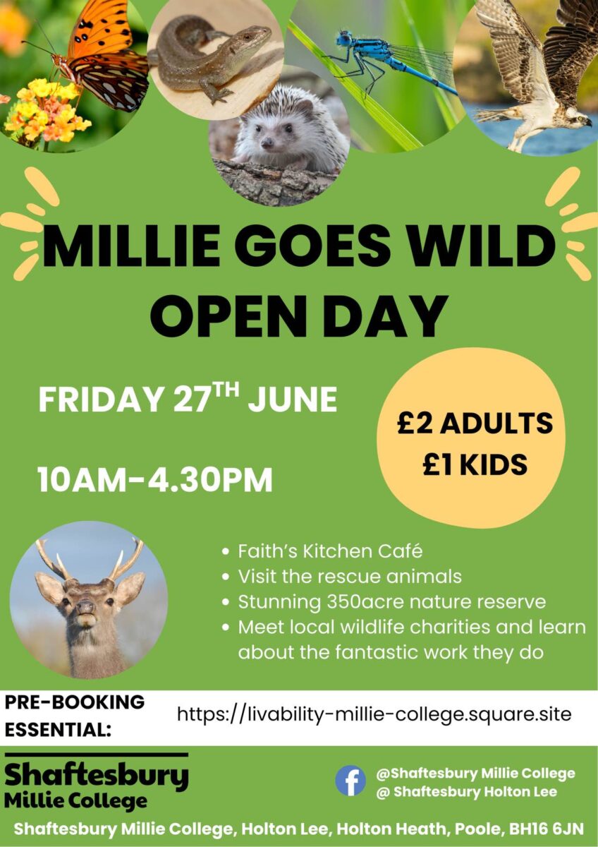 "Millie Goes Wild" Open Day @ Holton Lee