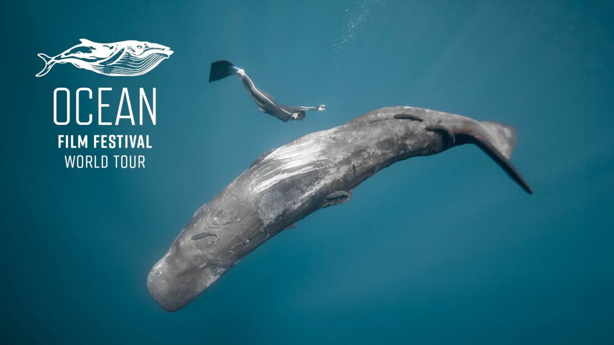 Ocean Film Festival - Poole - 23 October 2025